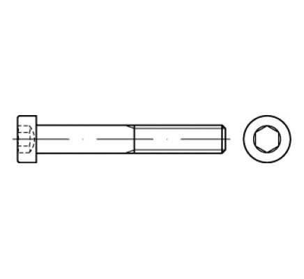 VIJAK INBUS 8.8 ISO 14580 TORX 5X12 ZnB TX25